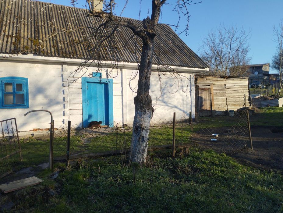 Будинок з земельною ділянкою