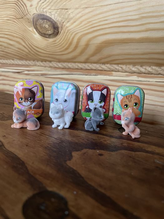 Котики в домиках