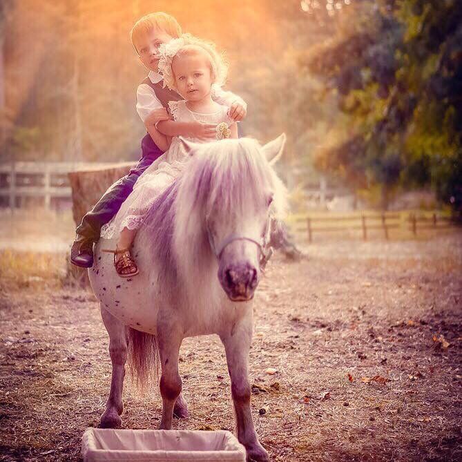 Найкращий подарунок для дитини це емоції,