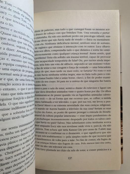 Livro As Loucuras de Brooklyn - Paul Auster