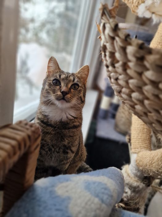 Cudo szuka domu na stałe