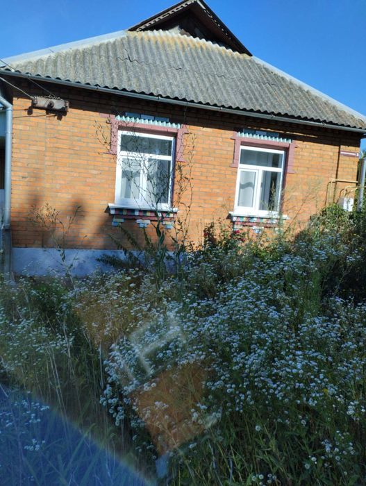 прогторий будинок з великою ділянкою 35сот.! Є теплиця, гаражі 42208