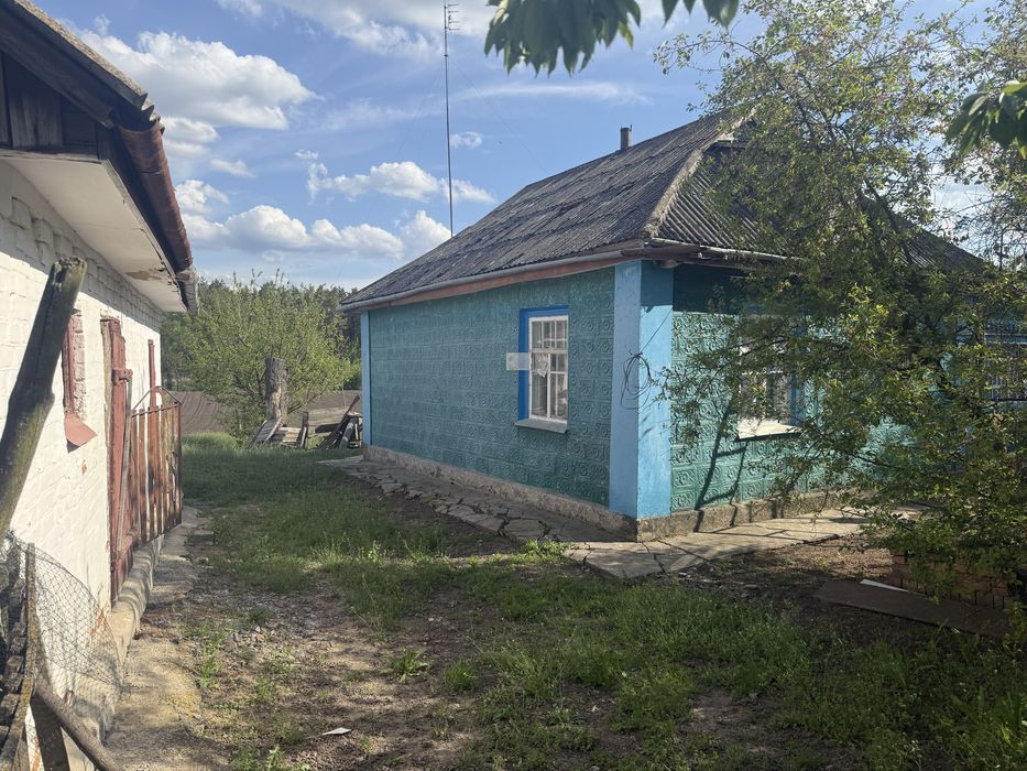 Приватний будинок в селі Вікентіївка, 40 км від Вінниці