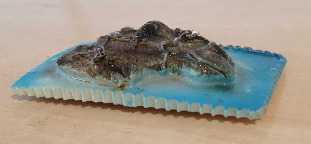 Сувенірний магніт DETRAJORJAN