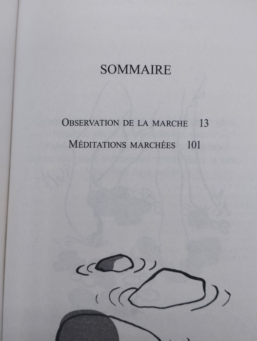 Marcher en Pleine Conscience - Thich Nhat Hanh - 2016