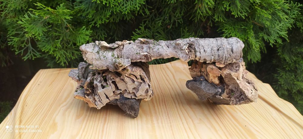 Grota z debu korkowego 28x13 cm.