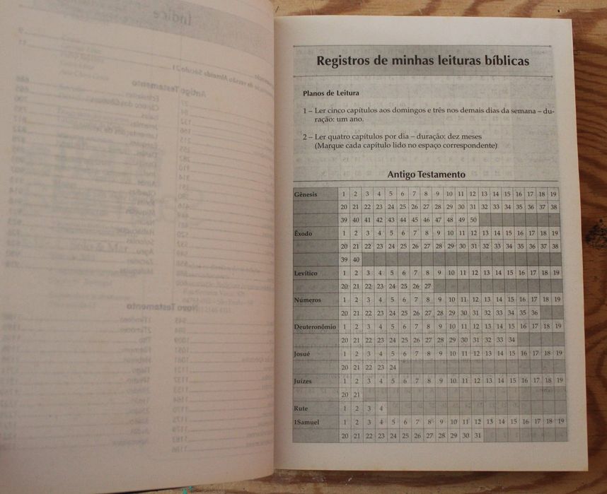 Livro "Bíblia Sagrada Almeida Século 21 - Luz" (2012)