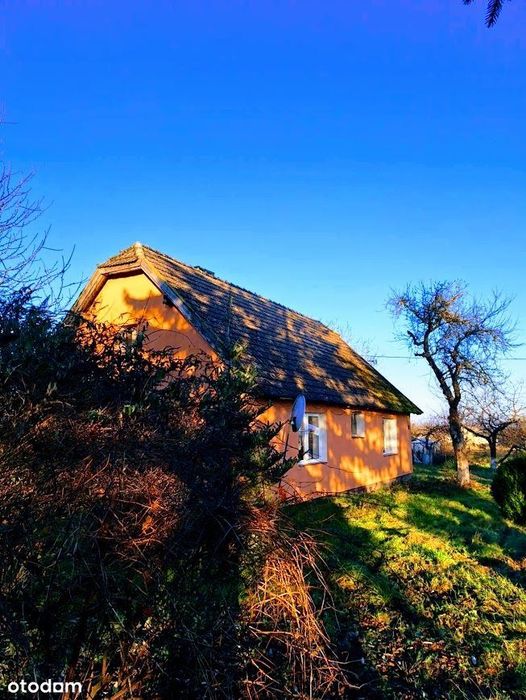 Dom – Wytok, powiat gryficki - Widok 2