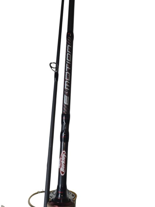 zestaw spinningowy Berkley i Ryobi