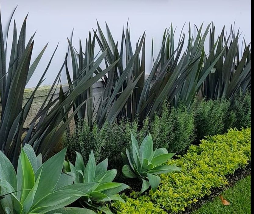 Um jardim no paraíso/serviços e manutenção.