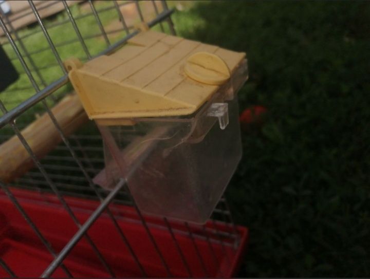 Клітка для птахів бу