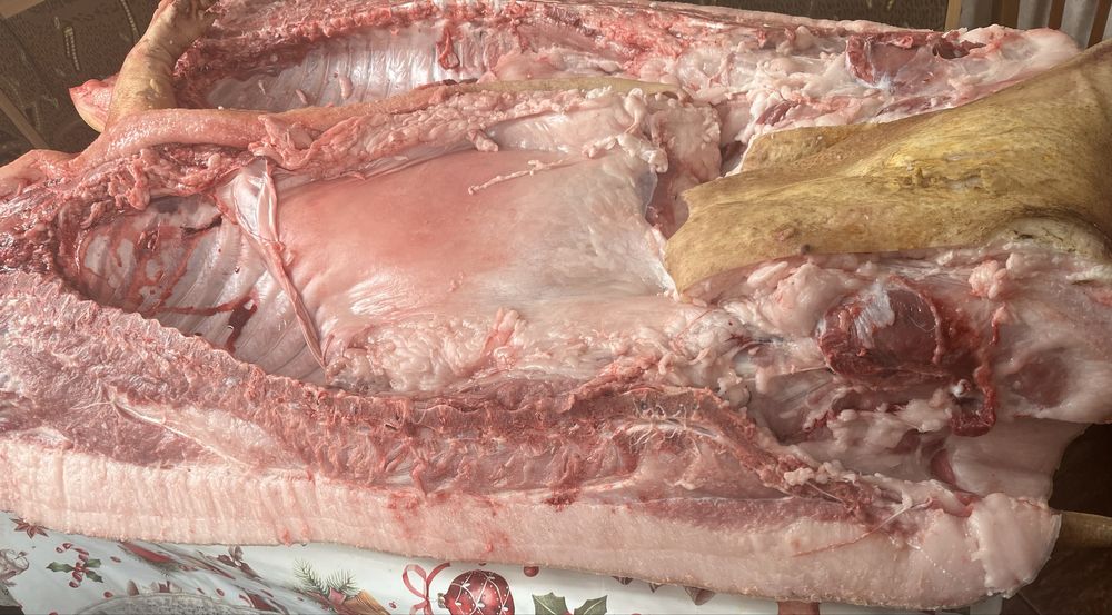 Продам свиней  на мясо