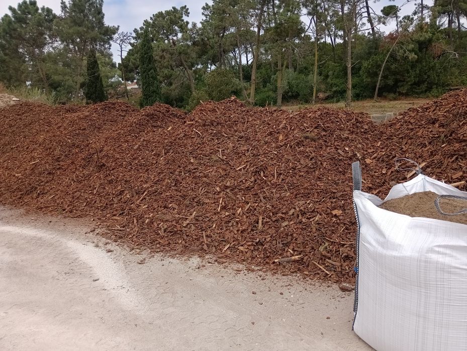 Casca de Pinheiro Não crivada, 63€ IVA inc
Para ornamentar espaços ver