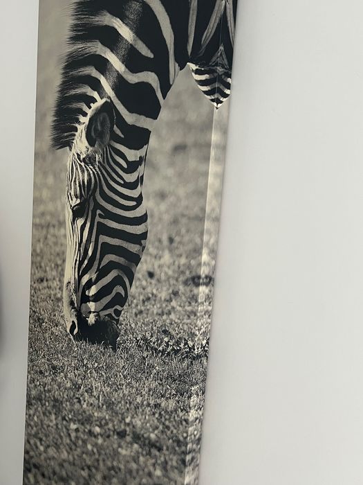 Dwa obrazy z motywem zebry, druk na płótnie, IKEA