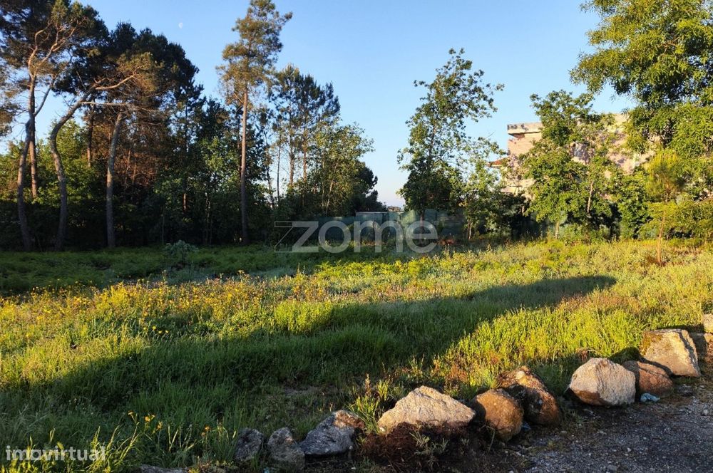Terreno Urbanizável Vila Chã de Sá