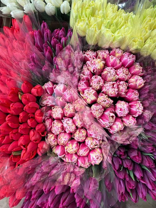 тюльпаны,букеты с доставкой по Харькову