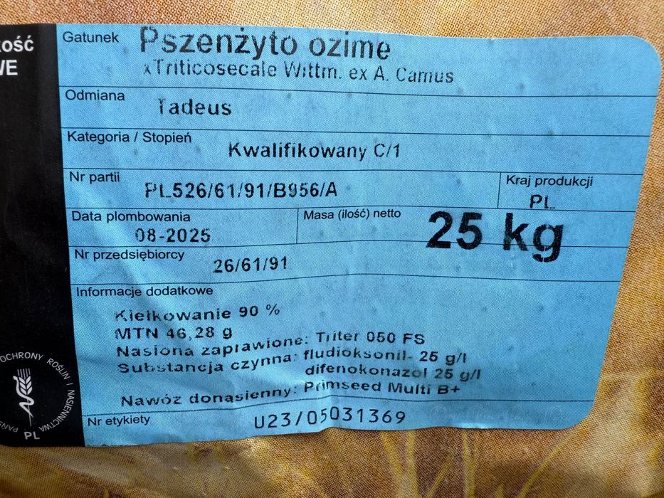 Pszenżyto ozime Tadesu pszenica euforia