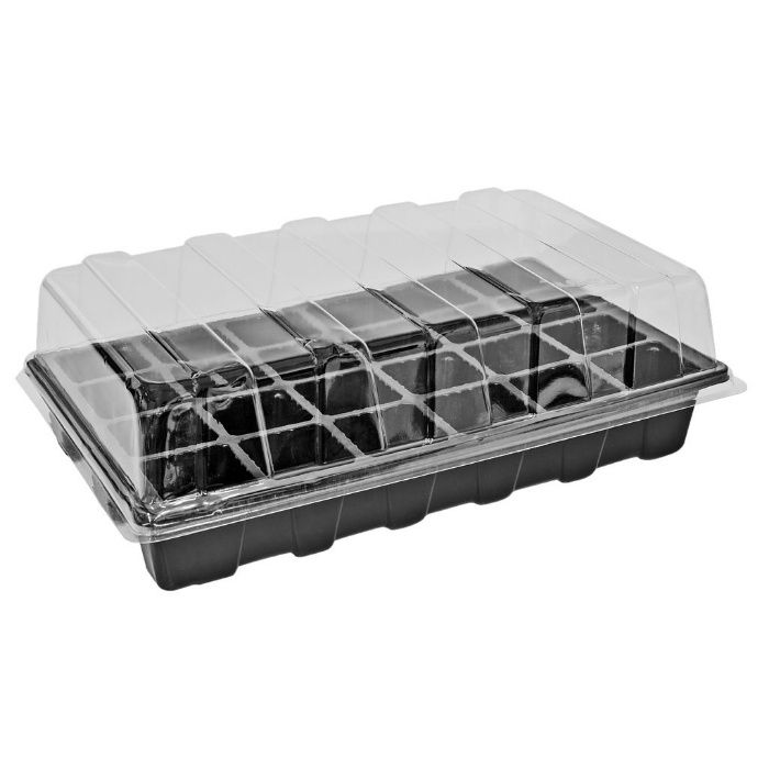 Mini szklarnia do sadzonek