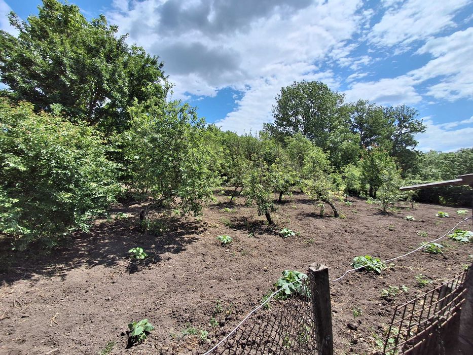 Продається приватний будинок у мальовничому селі