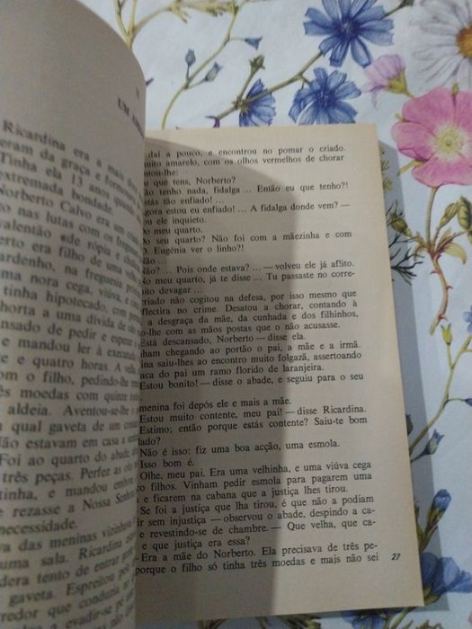 O retrato de  Ricardina.  Portes incluídos