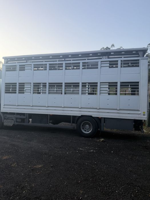 Animais vivos Renault 370