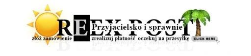 zestaw 11w1 grill gazowy ogrodowy 5,5kw 2 palniki