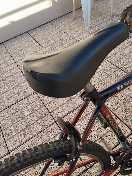 Bicicleta para desocupar