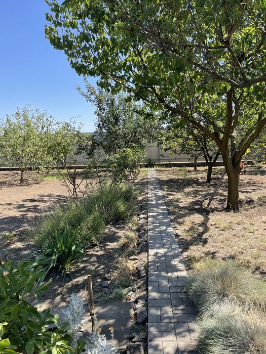 Домик в Новой Дофиновке