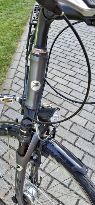 Rower męski Pegasus