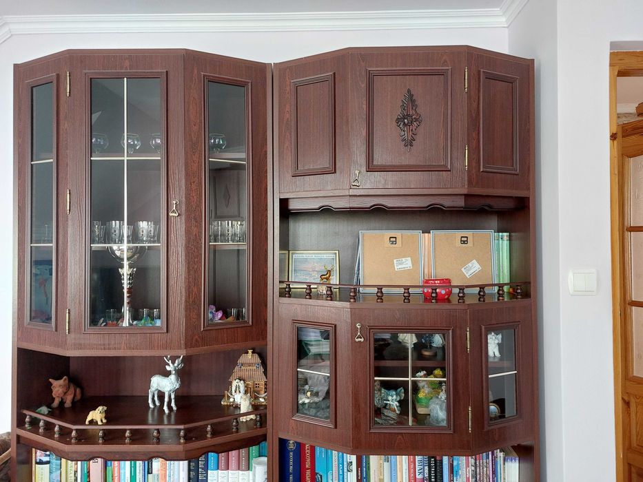 Meblościanka segment