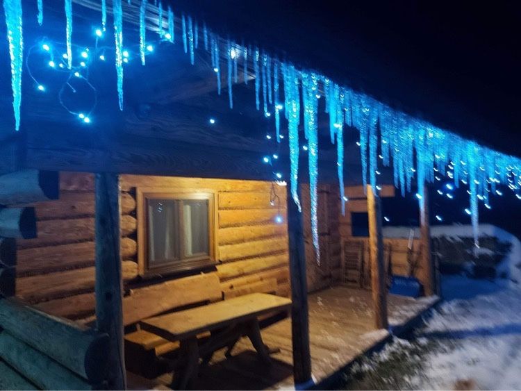 Leśny domek   wolne od 3.01