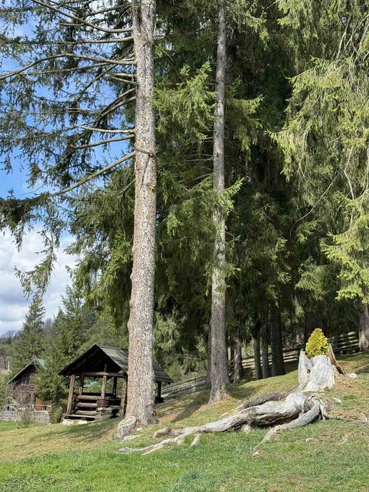 Котедж "Карпатська ідилія" Ворохта .