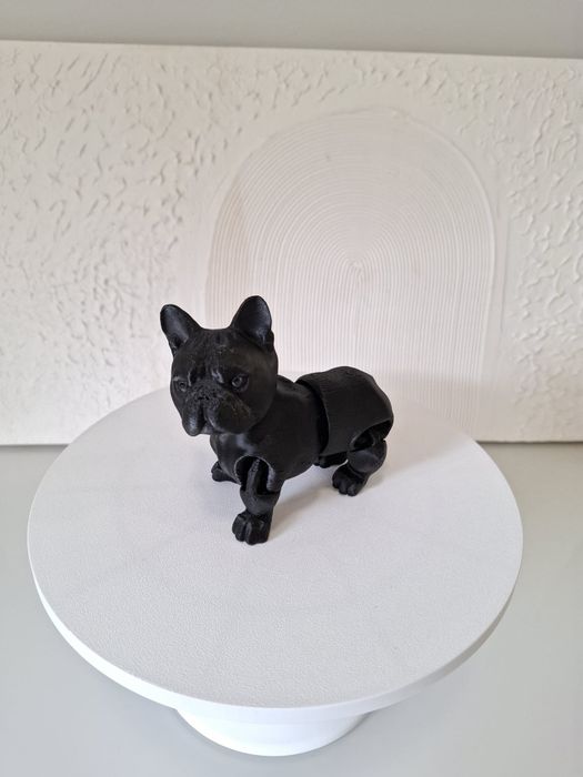 Cão de raça decorativo