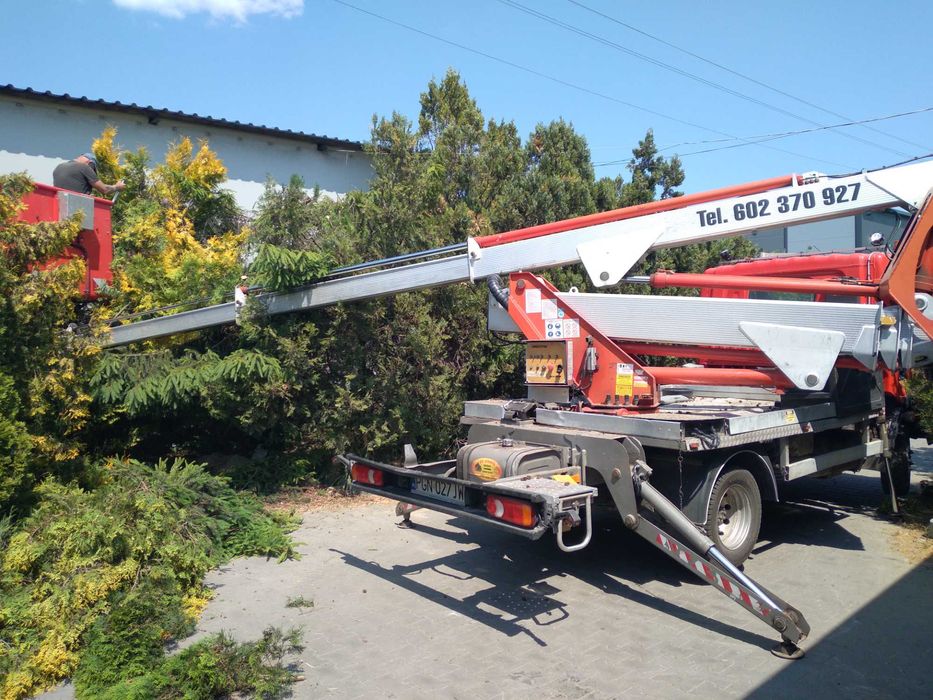 Wycinka, Przycinanie drzew Gniezno