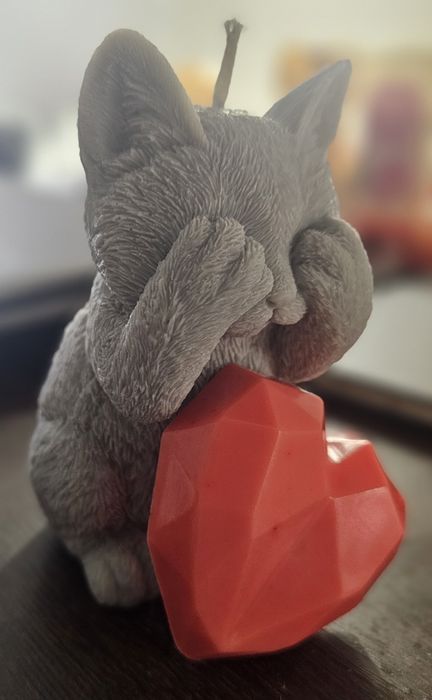 Kot świeca sojowa + serce mydło na walentynki