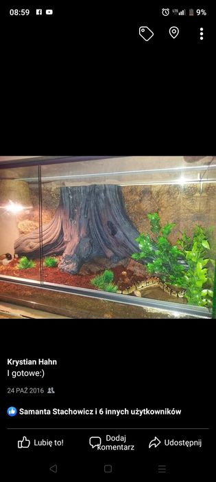 Terrarium 100cm szer. 50cm wys. 50cm gł.