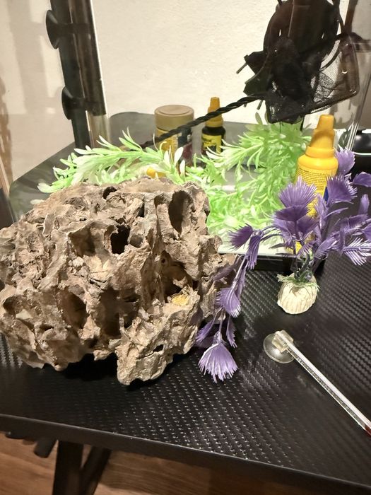 Vendo aquário completo 15 litros, com Rocha, bomba, aquecedor, termostato, iluminação, decoração de plantas artificial.