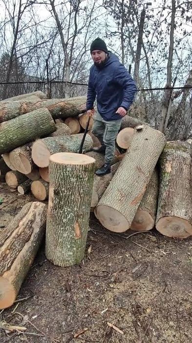 Дрова твердых пород Аккация Дуб Ясень