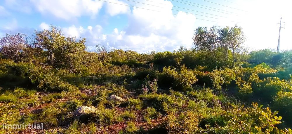 Terreno Rústico  Venda em Conceição e Estoi,Faro
