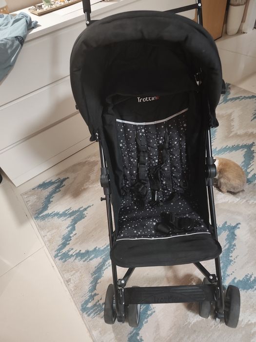 Carrinho de passeio