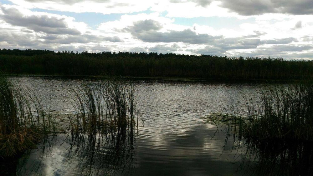 Продам участок 2га на берегу реки Мжа, в с.Тимченки