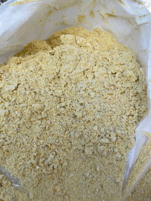 Kukurydza mielona , CCM, mielone ziarno kukurydzy