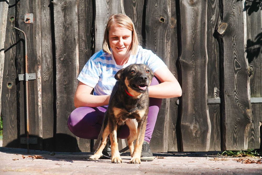 Kefir - niewielki piesek