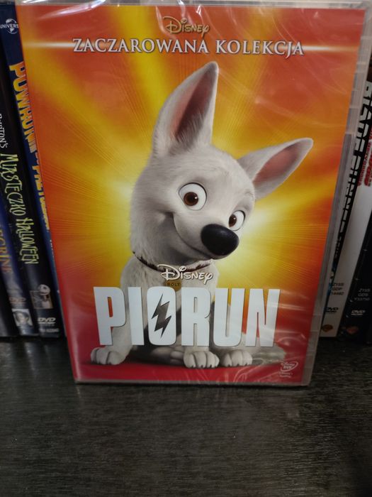 Piorun płyta DVD