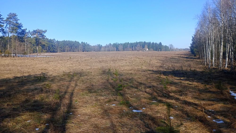 Sprzedam ziemię pod żwirownię