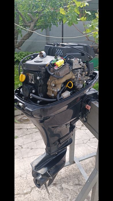 Mercury 15 4T. 2017 starter