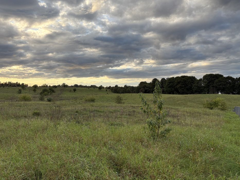 Działka budowlana nad jeziorem Marąg, Mazury - 2311m2, Ramoty