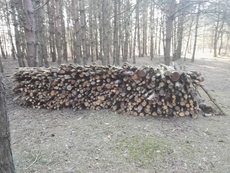 drewno opałowe opał kominkowe do palenia