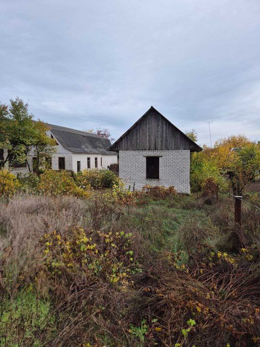 Будинок у селі Мошни