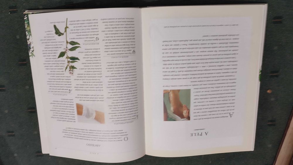 Manual Completo de Medicinas Naturais - Mark Evans